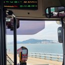 씨유 신포문화의거리점 | 이집트 경양식 등심돈까스, 신포동 신포시장 구경, 타르트야 6가지맛 후기