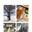 한그릇 | [홋카이도/비에이] 비에이 당일치기/여행한그릇 후기