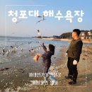 세븐일레븐 울산남부점 | 청포대 해수욕장 갯벌체험 해루질 물때 시간 갈매기 먹이주기