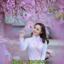일등인력 이미지