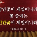 덕성강건(주) 티스토리