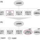 (주)엘지화학 이데일리