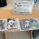 24시 당신의 동물의료센터 | 24시 당신의 동물 의료센터 어떤 곳