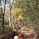 예쁜아이어린이집 이미지