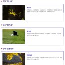 문화유산, 역사가 보인다 | 전라북도 임실 이름의 유래와 역사, 문화유산