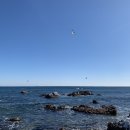 영덕대게식당 이미지