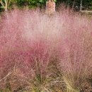 조리고 본점 이미지