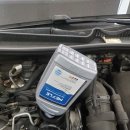 제주원모터스 이미지