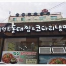 김영희동태찜앤코다리냉면 - 안양시 만안구 | 김영희동태찜앤코다리냉면