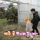 경환농장이 이미지