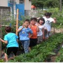 두학초등학교 이미지