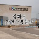 강화자연사박물관 | [인천 강화] 강화자연사박물관