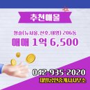 청솔공인중개사사무소 이미지