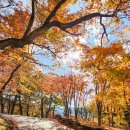 옥류동쉼터 화장실 | 11월초에 강추 단풍코스 합천, 가야산소리길(해인사 단풍)