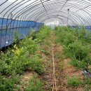 승모농장 이미지