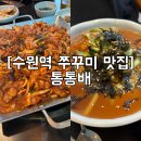 통통배 | 수원역 통통배 후기｜애견동반 가능한 철판 쭈꾸미닭갈비 맛집, 주차 정보까지!