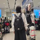 요즘 인기 많은 노스페이스 백팩 빅샷 핫샷 비교