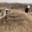 홍지선생 묘 이미지