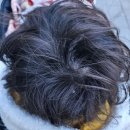 청암빌딩 | [천안/백석동] 20개월 아기 파마 후기｜첫 파마 시기 고민하다 다녀온 뮤렌살롱