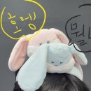 포토이즘컬러드연남점