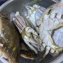 몽당1 | 류수영 간장게장 레시피 /연안형제 몽당꽃게🦀 내돈내산 / 개존맛탱 후기