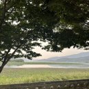 소소아지 네이버블로그