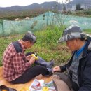 동래농장 이미지