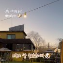 땅콩애견놀이터 이미지