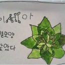 미래몬테소리어린이집 네이버블로그