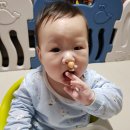 조준농장 이미지