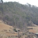 화정면사무소 이미지