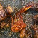 사리원 | 구월동 가성비 한정식 맛집] 화미사리원 :: 석갈비 후기