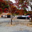 자동차를좋아하는사람들 이미지