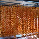 상촌농장 이미지