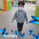 길따라꽃따라
