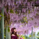 상인초등학교 이미지