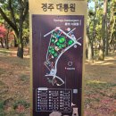 미추건축 | 경주 대릉원 후기｜걷기 좋은 코스, 포토존, 소요시간 정리