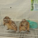 바래축산 이미지