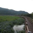 정양늪생명길 이미지