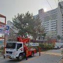 천안성성중학교 이미지