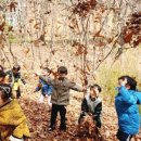 월드컵공원 유아숲체험원 이미지