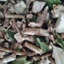 소룡농장 이미지