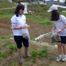 광문중학교 이미지