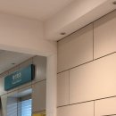 (주)허공 | [유방암 투병일기 #2] 현실을 살아내지만 허공에서 돌아다니는 느낌...