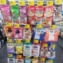 갈마애견 이미지