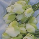 아주까리농장 | 7월 팝업식당 후기