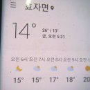 백두대간 2곳 능이버섯 산행.107 (풍성한 명절되시길...^^) 이미지