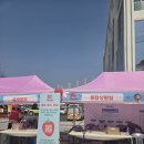 상생 | 청주 딸기축제 내돈내산 후기｜청주 달콤상생 딸기 축제 먹거리·체험·주차 총정리