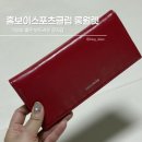 레드 장지갑 추천 홈보이스포츠클럽 내돈내산 후기