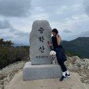 강아지와 나 | 부산 승학산 가을 억새군란지 강아지와 함께 등산후기